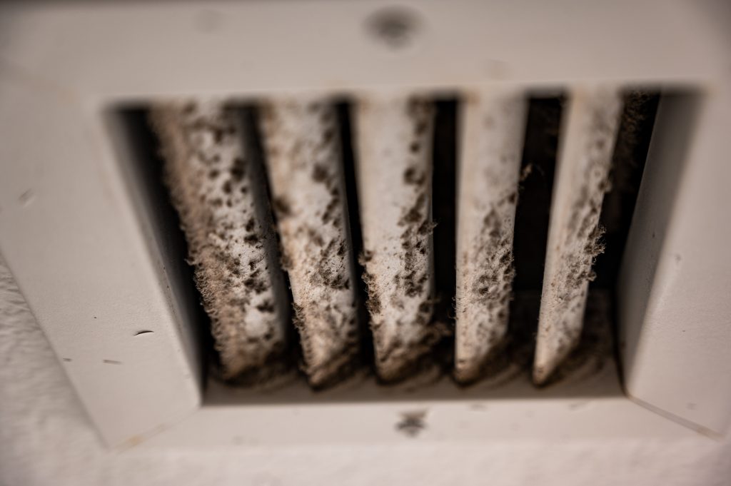 black mold on a residential grill vent